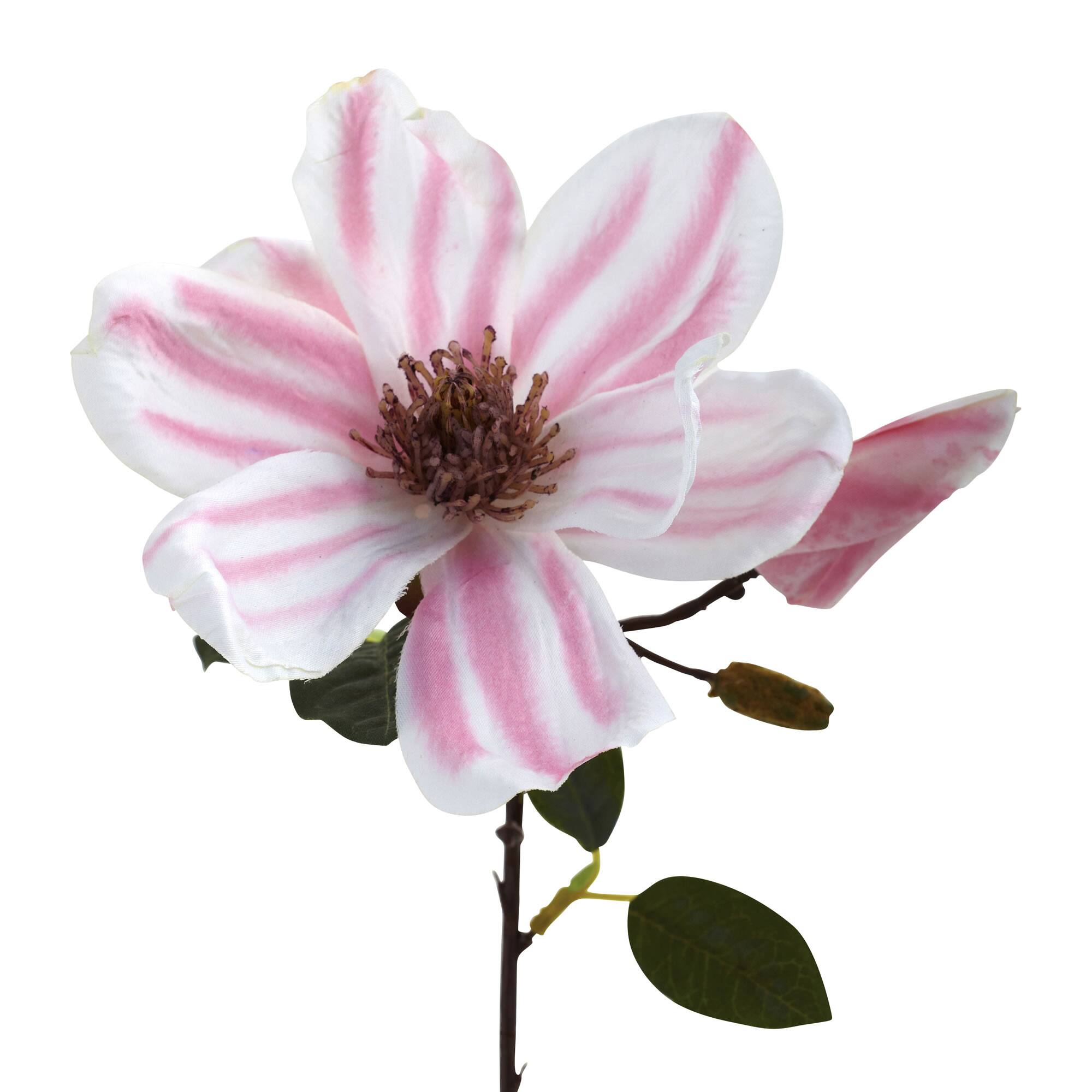 Pink Magnolia Stem, 18ct.